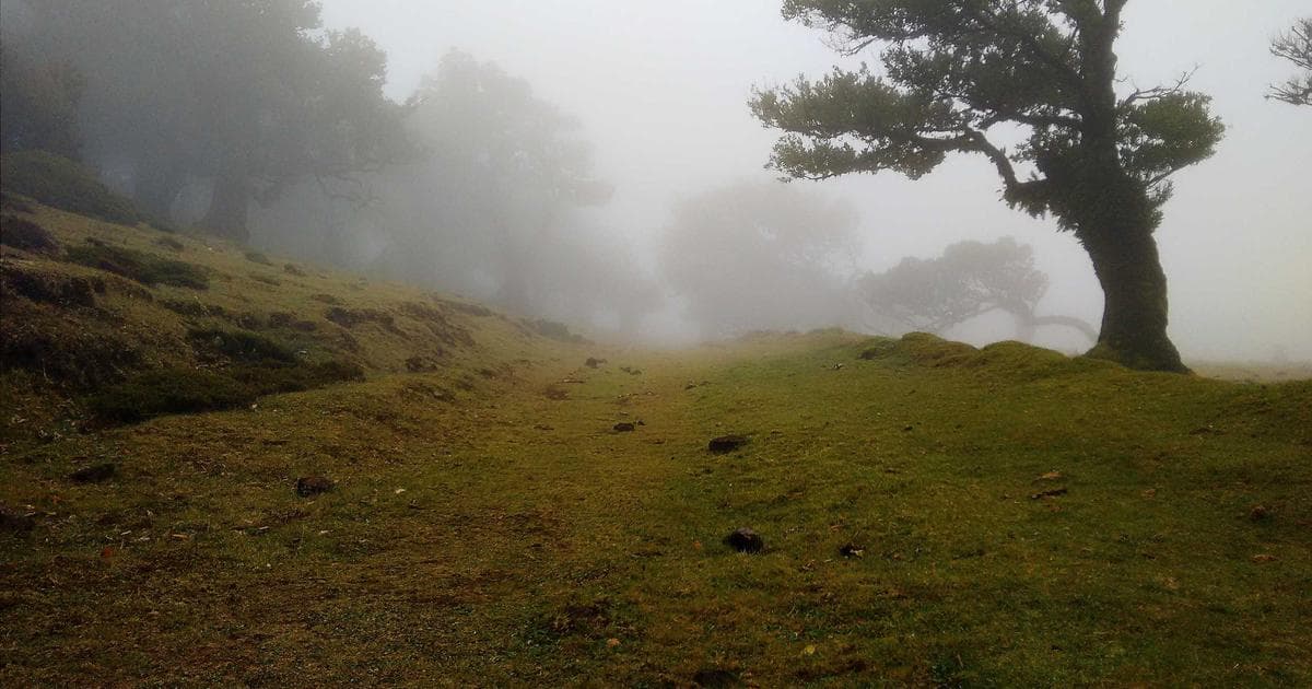 Qual dom do Espírito Santo é o seu?