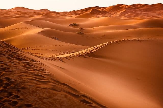 Quaresma e caminhar no deserto